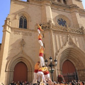 Normes de Castelló