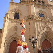 Normes de Castelló