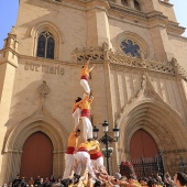 Normes de Castelló