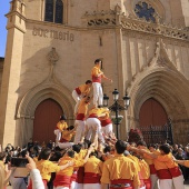 Normes de Castelló