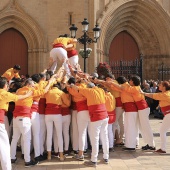 Normes de Castelló