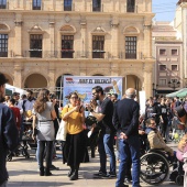 Normes de Castelló