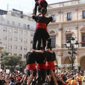 Normes de Castelló