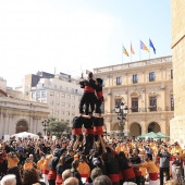 Normes de Castelló