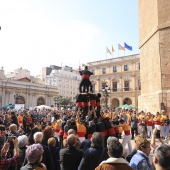 Normes de Castelló