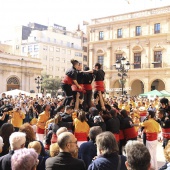 Normes de Castelló