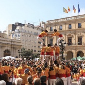 Normes de Castelló