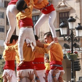 Normes de Castelló