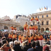 Normes de Castelló