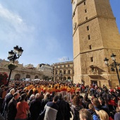 Normes de Castelló