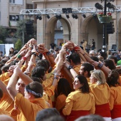 Normes de Castelló