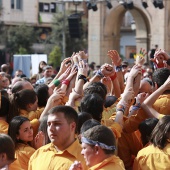 Normes de Castelló