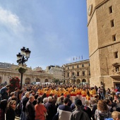 Normes de Castelló