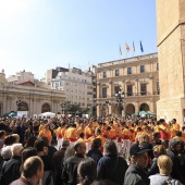 Normes de Castelló