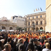 Normes de Castelló