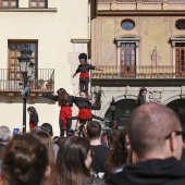 Normes de Castelló