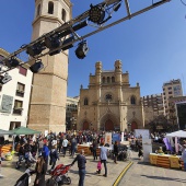 Normes de Castelló