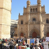 Normes de Castelló