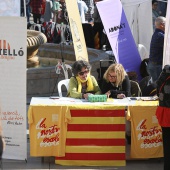 Normes de Castelló