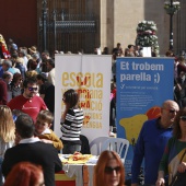 Normes de Castelló