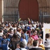 Normes de Castelló