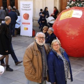 Normes de Castelló