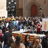 Normes de Castelló