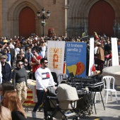 Normes de Castelló