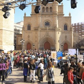 Normes de Castelló