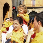 Normes de Castelló