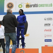 Marató BP Castelló, general