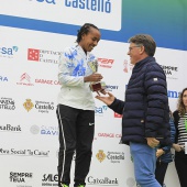 Marató BP Castelló, general