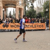 Marató BP Castelló, general