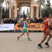 Marató BP Castelló, general