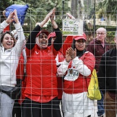 Marató BP Castelló, general