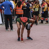 Marató BP Castelló, general