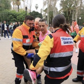 Marató BP Castelló, general