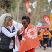 Marató BP Castelló, general