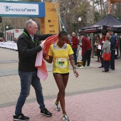 Marató BP Castelló, general