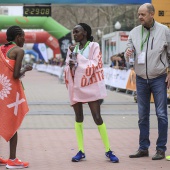 Marató BP Castelló, general