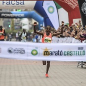 Marató BP Castelló, general