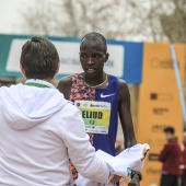 Marató BP Castelló, general