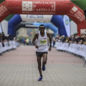 Marató BP Castelló, general