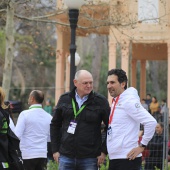 Marató BP Castelló, general