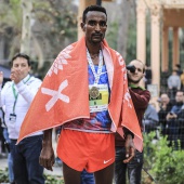 Marató BP Castelló, general
