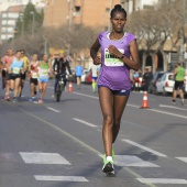 Marató BP Castelló, general