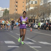 Marató BP Castelló, general