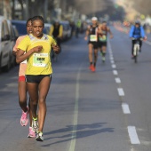 Marató BP Castelló, general