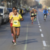 Marató BP Castelló, general