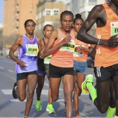 Marató BP Castelló, general